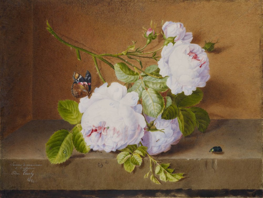 Branche de rosier sur un entablement